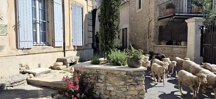 Chambres D'Hotes Le Relais Des Marmottes En Luberon Lagnes Exterior photo